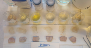 Marble Test 2: 24 hours dry