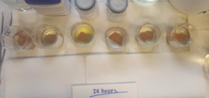 Marble Test 2: 24 hours in solution