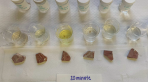 Marble Test 3: 20 minutes