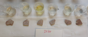 Marble Test 3: 24 hours