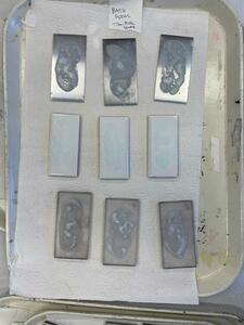 Dirty Bathroom Coupons (Bathroom Soil)