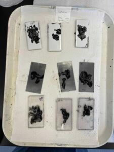 Dirty Kitchen Coupons (DCC-17)